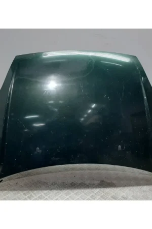 CAPOT 1531070 VERDE Descuento